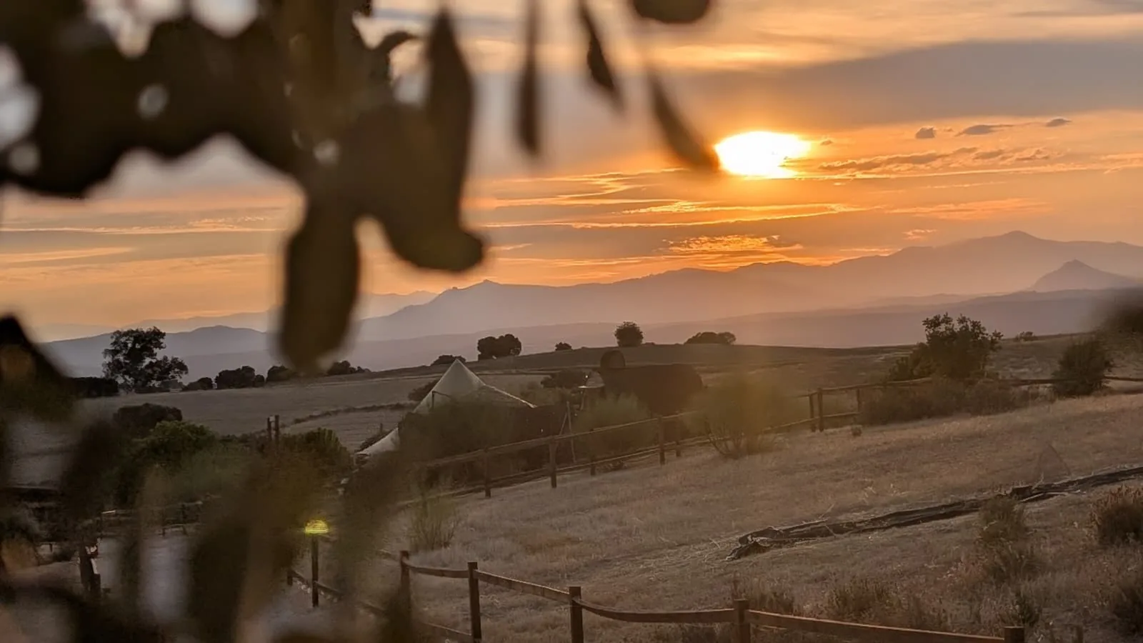 Atardecer dorado